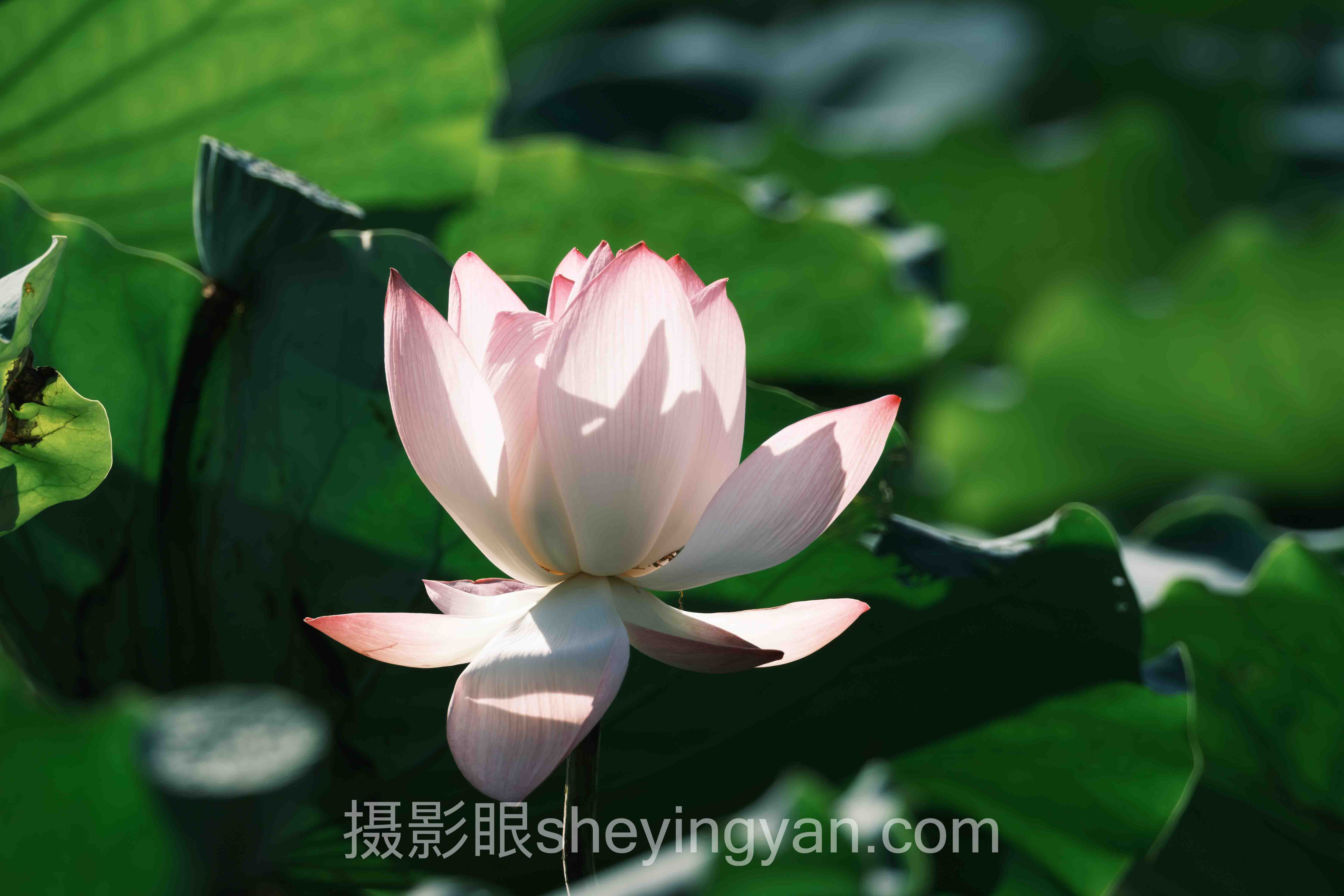 对话行业专家：每天拍多少张进步快？关键洞察与前瞻