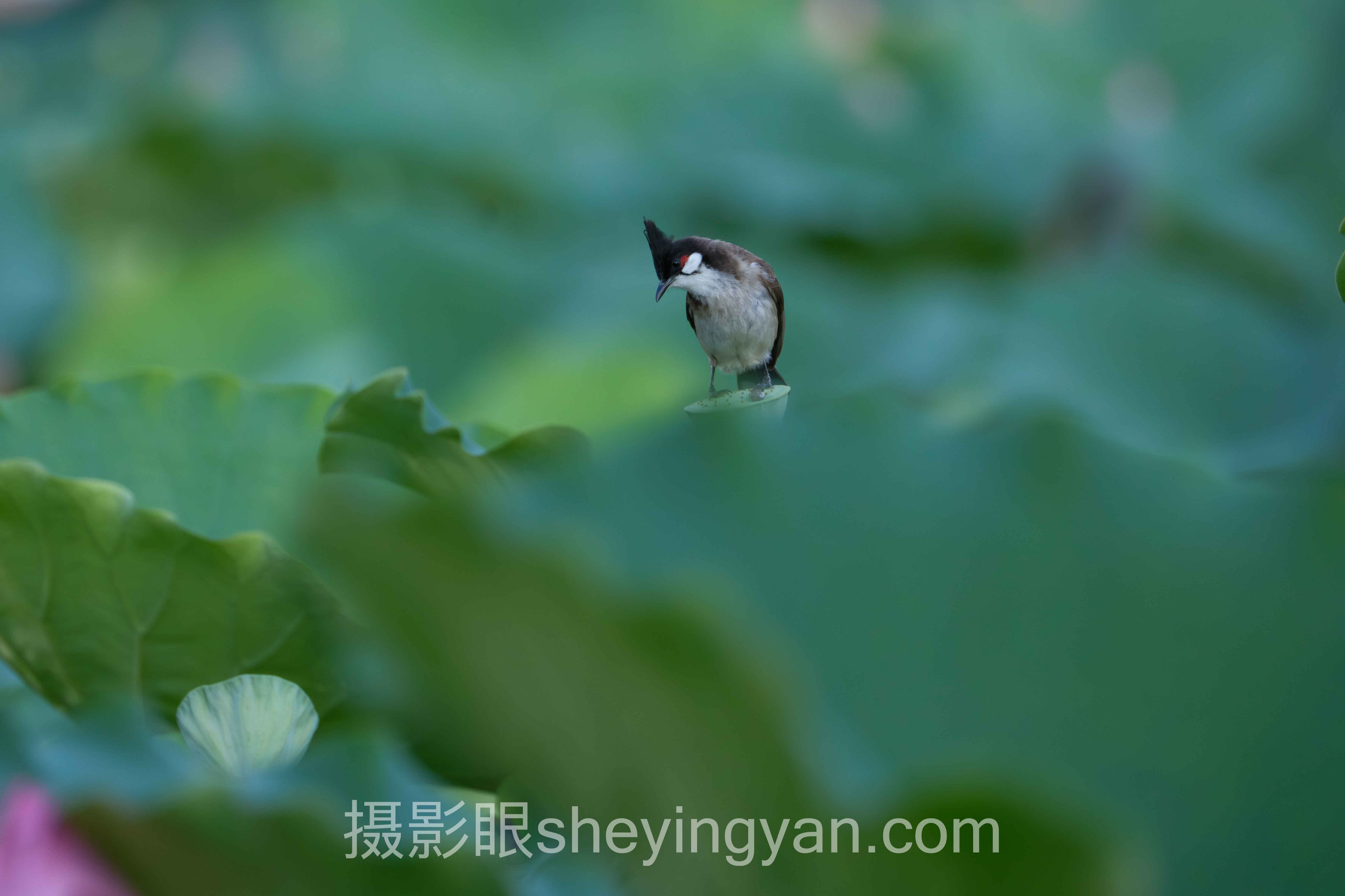 朋友说照片不好看怎么办？先别急着删图