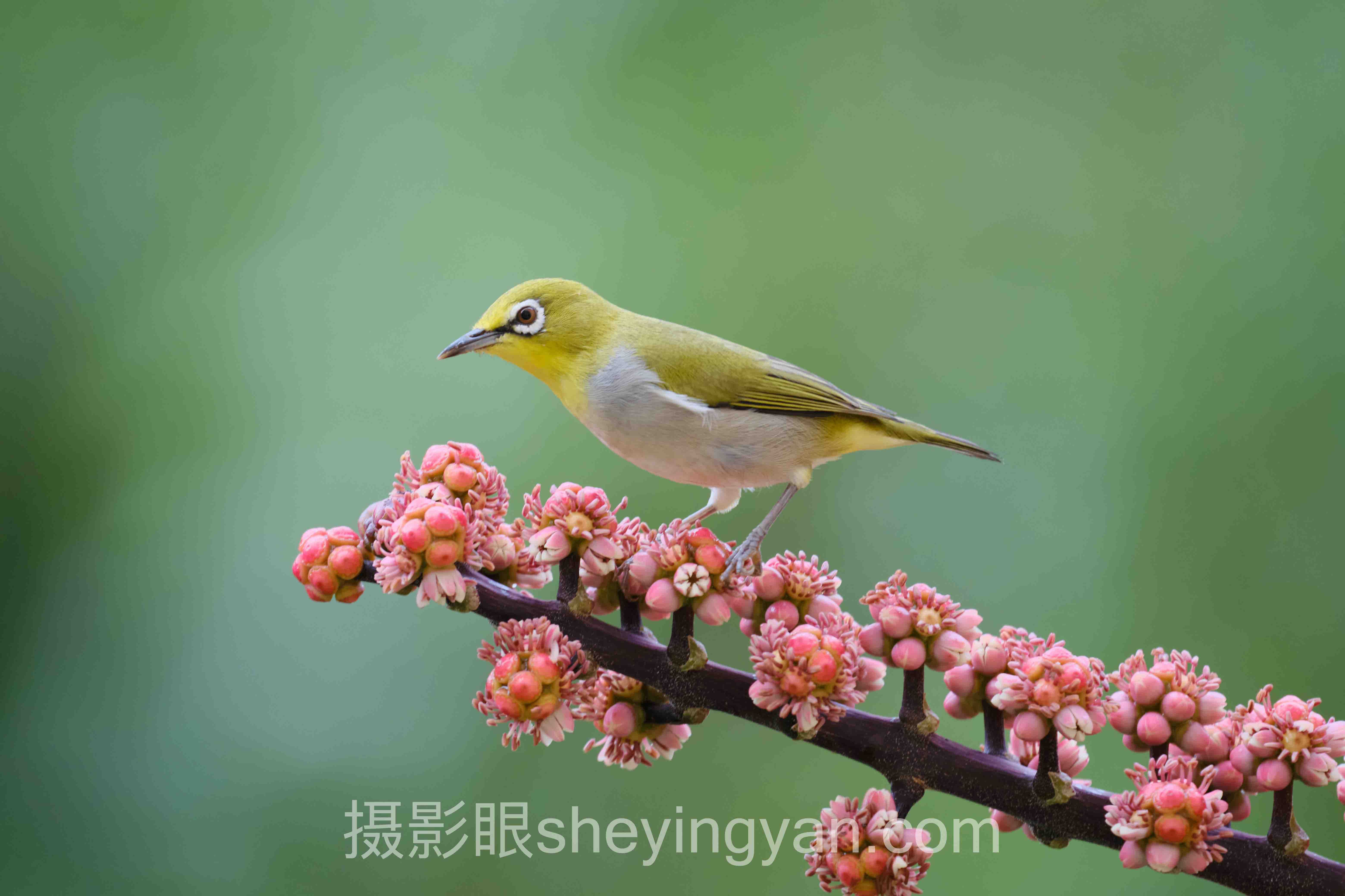 渐变滤镜怎么用完整指南：从入门到精通的5个步骤