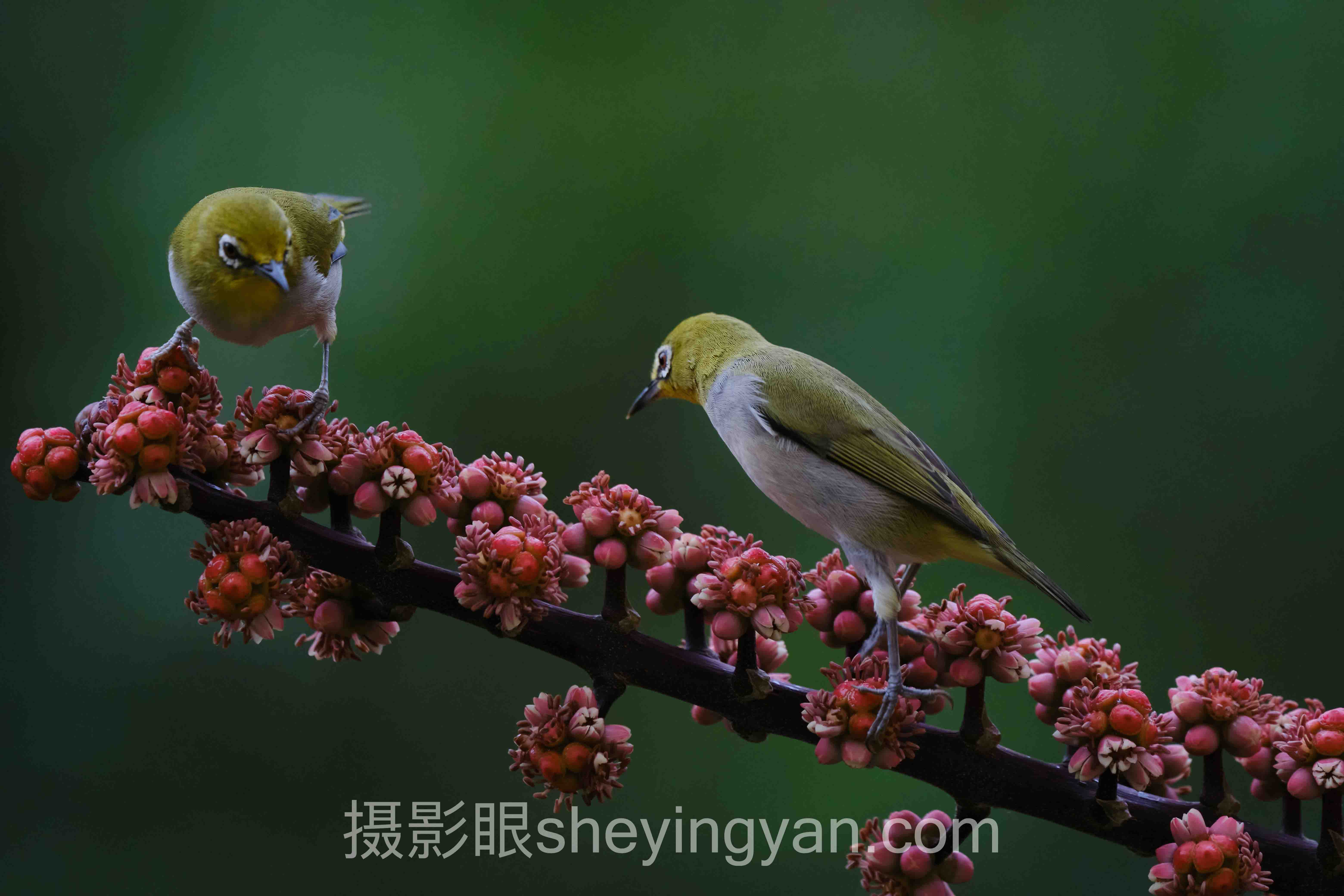 关于夜景怎么拍的5个关键问题，一次说清