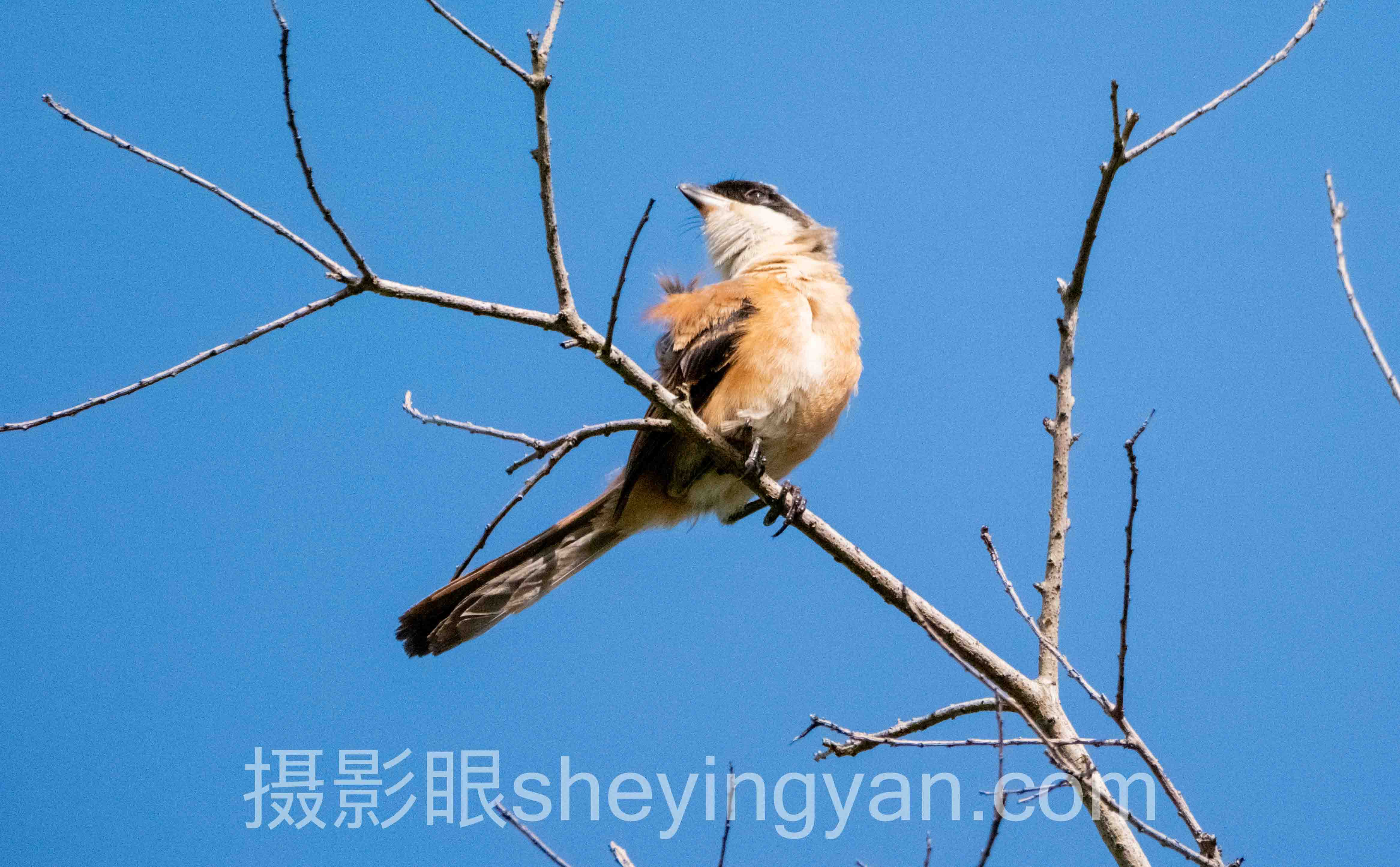 朋友说照片不好看怎么办？先别急着删图
