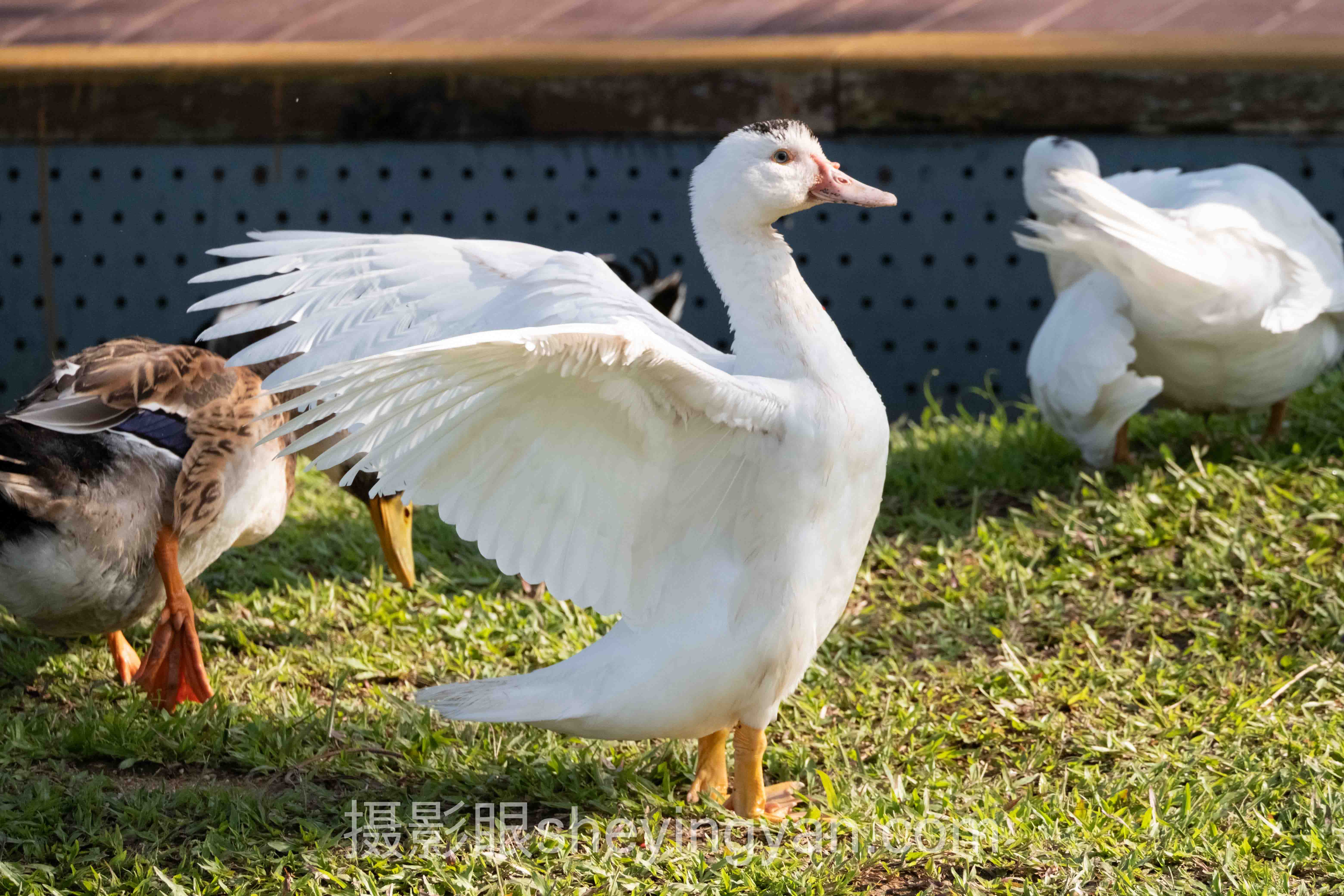 手把手教你各品牌相机风景参数设置：8步实操清单