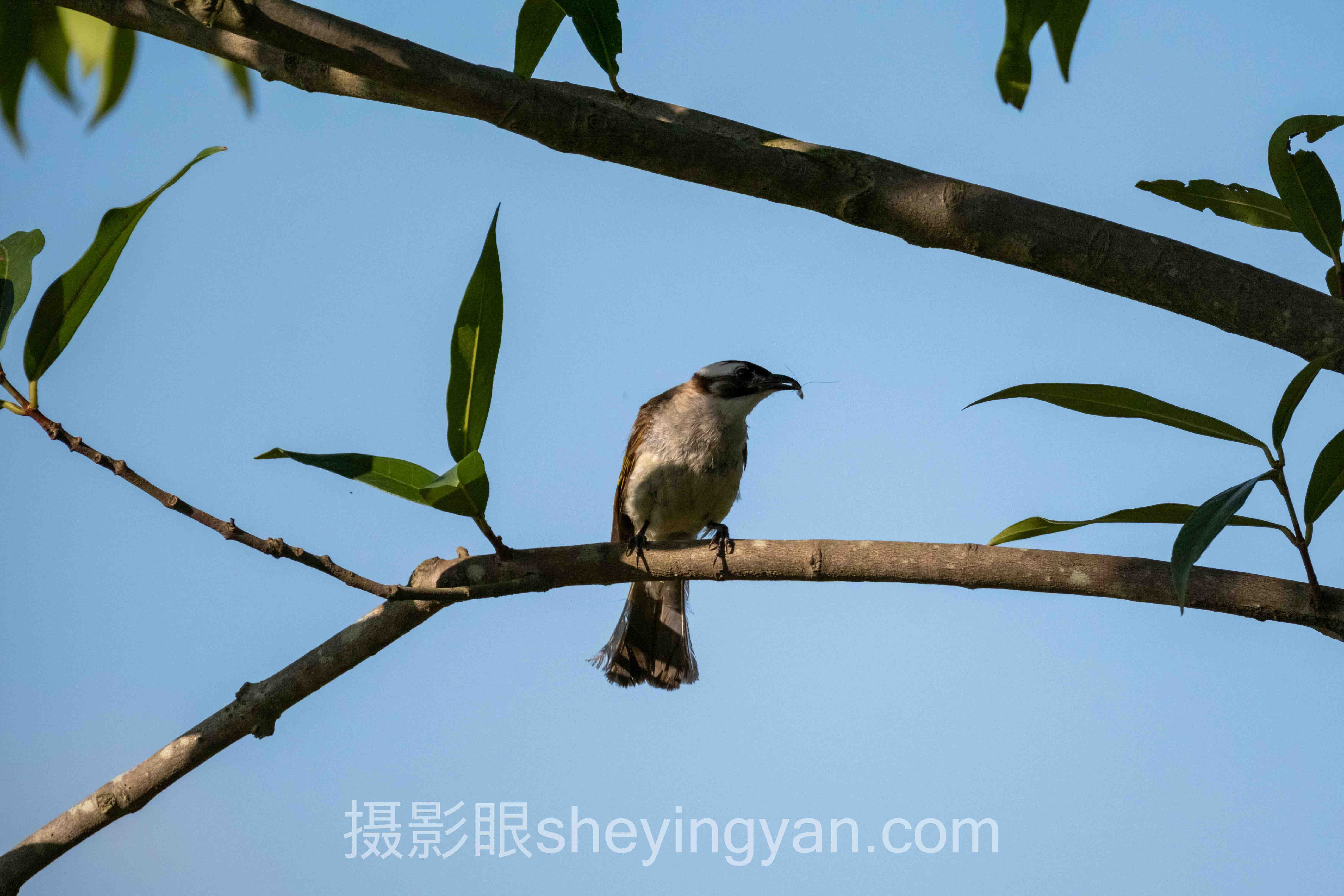 摄影眼会员套餐价格实战案例拆解:3个摄影人能力跃迁的共同规律